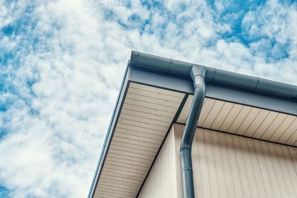 Gutter Fascia Repair in Spring Hill
