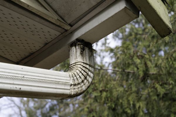 Cost of Roof Drain Replacement in Spring Hill