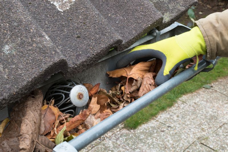 Gutter Clearing