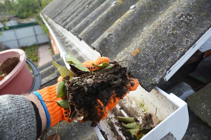 Gutter Inspection